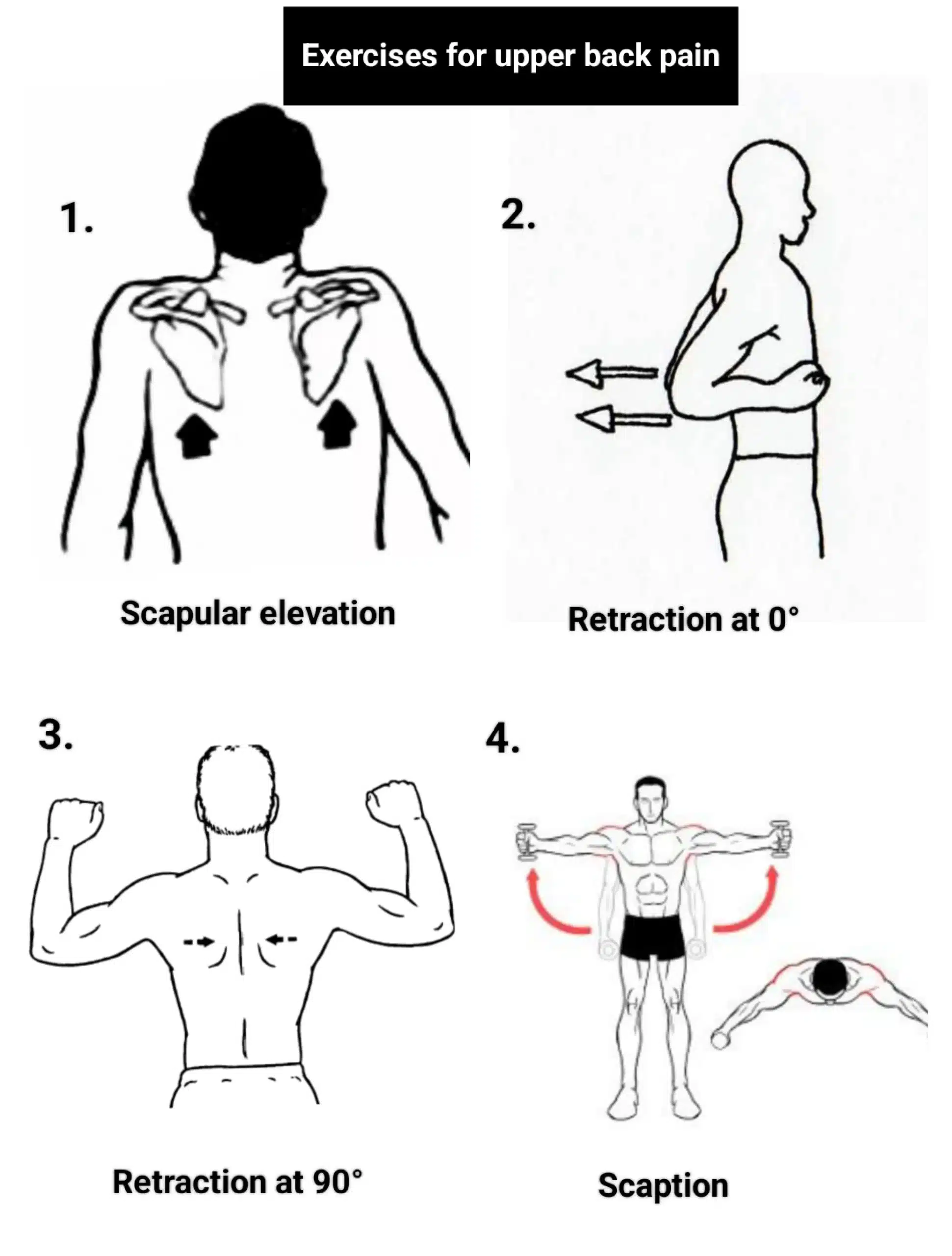 upper back pain exercises